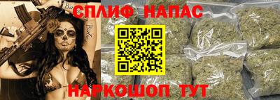 тгк Дубна