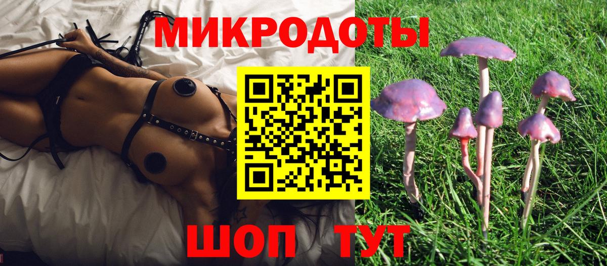 Малгобек  Псилоцибиновые грибы Magic Shrooms  купить закладку  Вход с VPN 